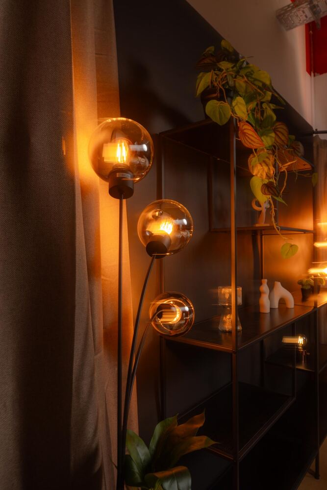 Gemütliche Studio-Ecke mit Stehlampen und Pflanzen im warmen Licht